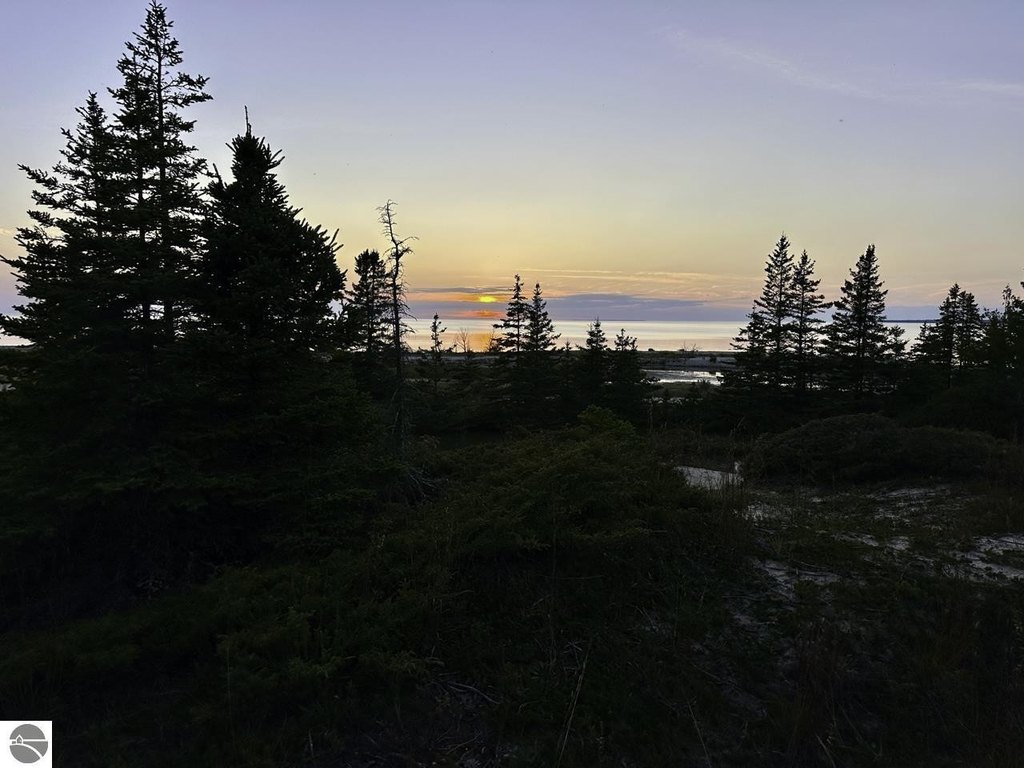 Picture 28