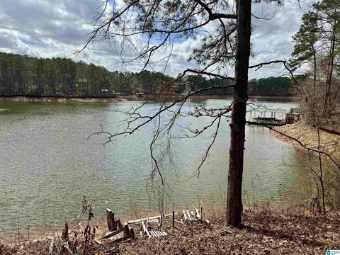 Lakefront Lot with Year-Round Water