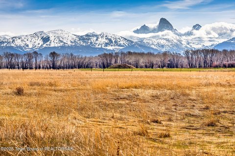 Tetonia, ID Land with Views
