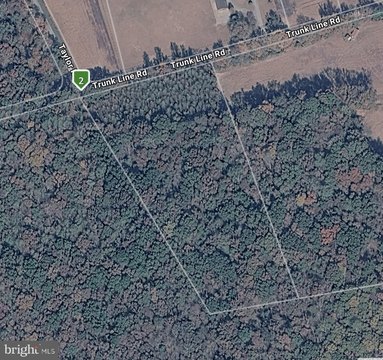 Secluded 5-Acre Building Lot
