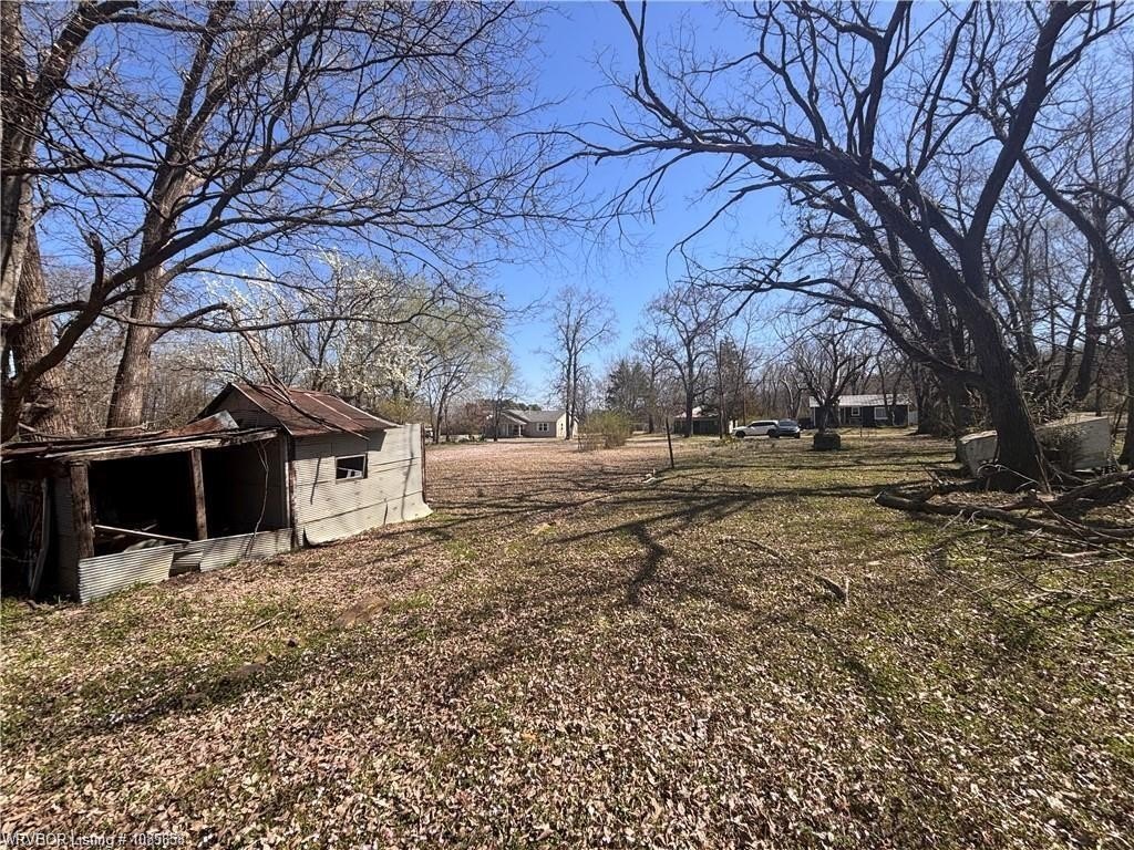 Picture 5