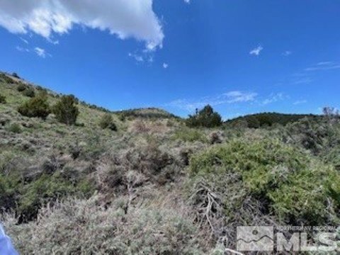 Virginia City Vacant Land