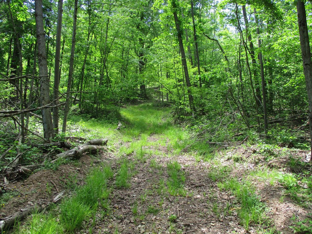 Picture 8