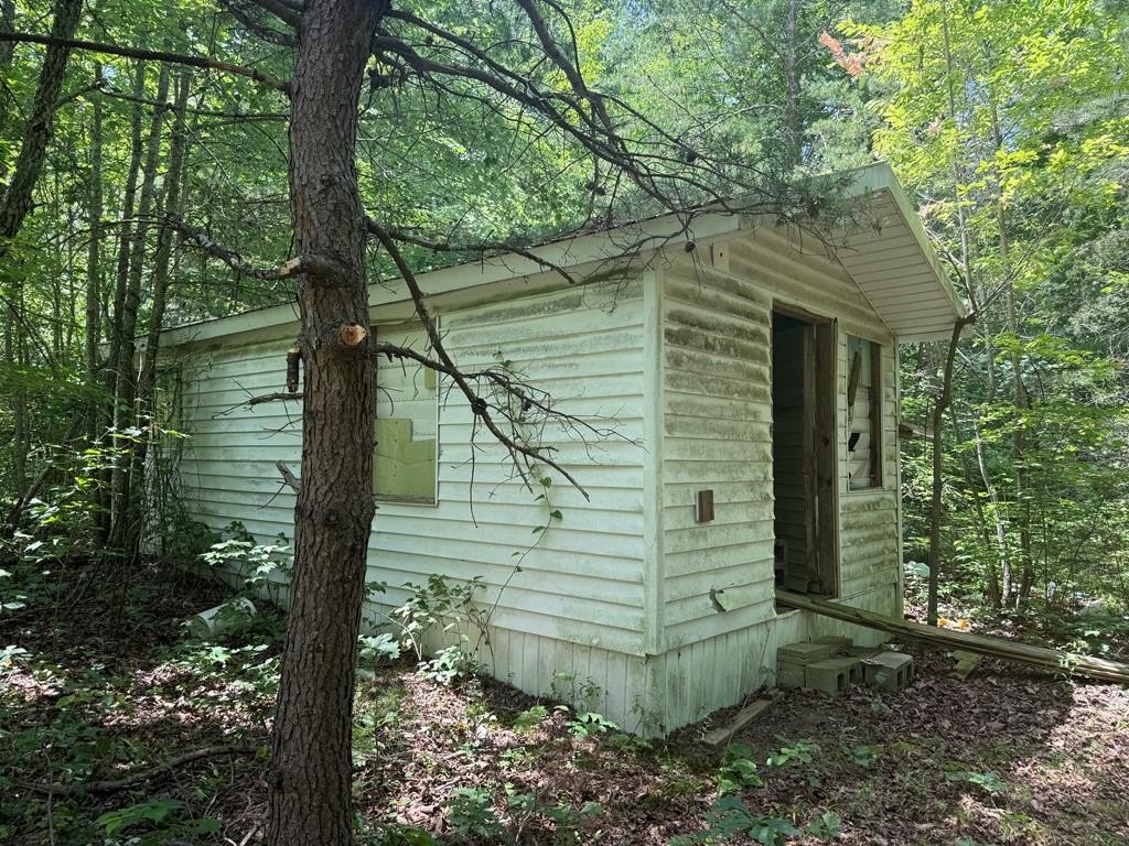 Picture 5