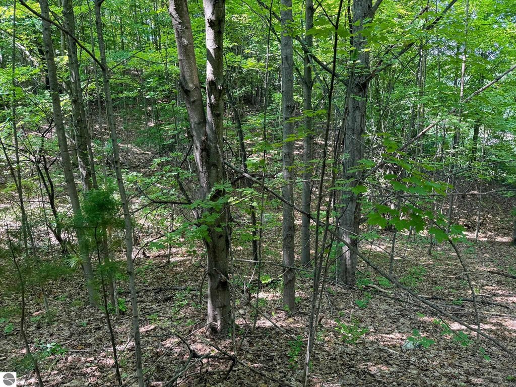 Picture 28