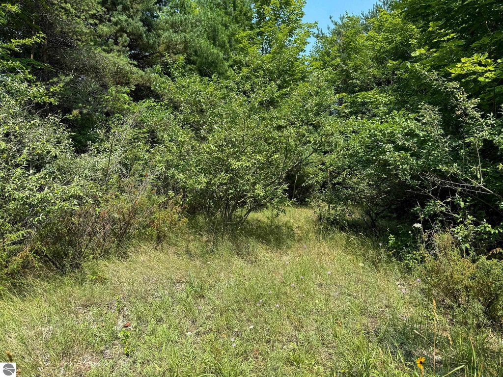 Picture 25