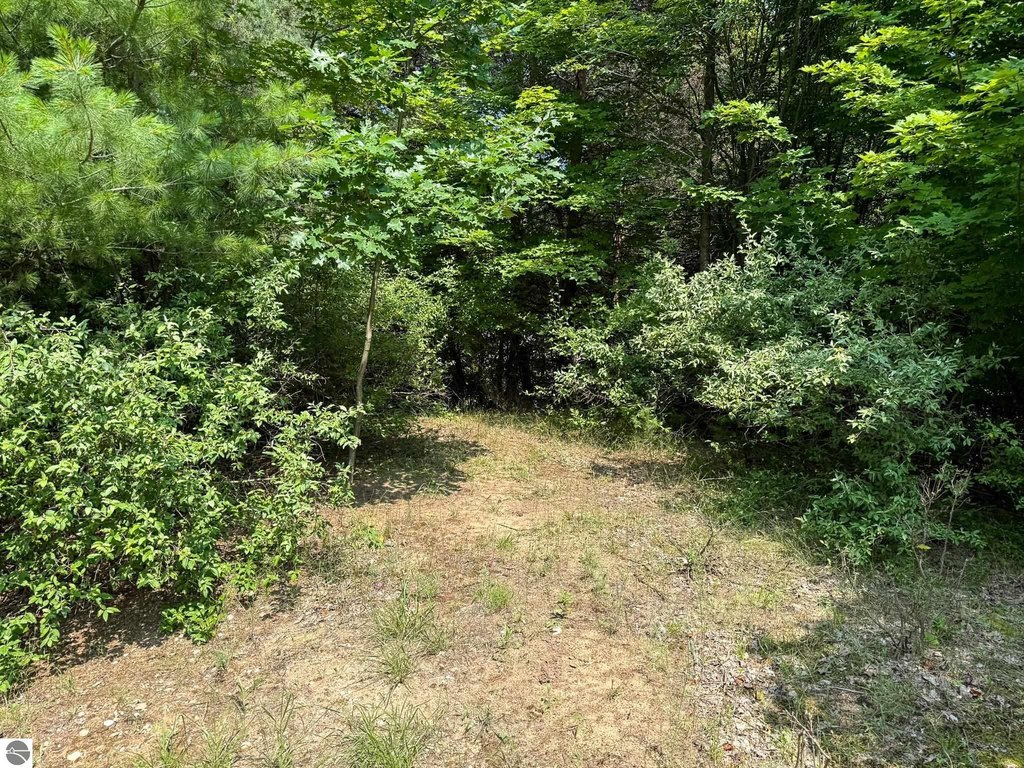 Picture 26