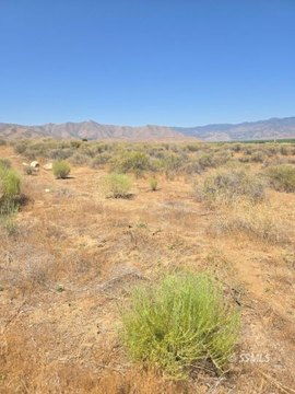 Undeveloped Land in Weldon, CA