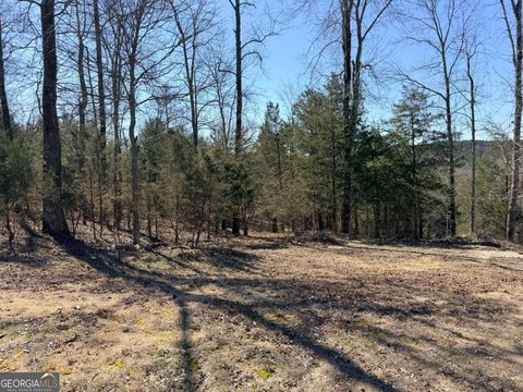 LAND - Monroe, GA