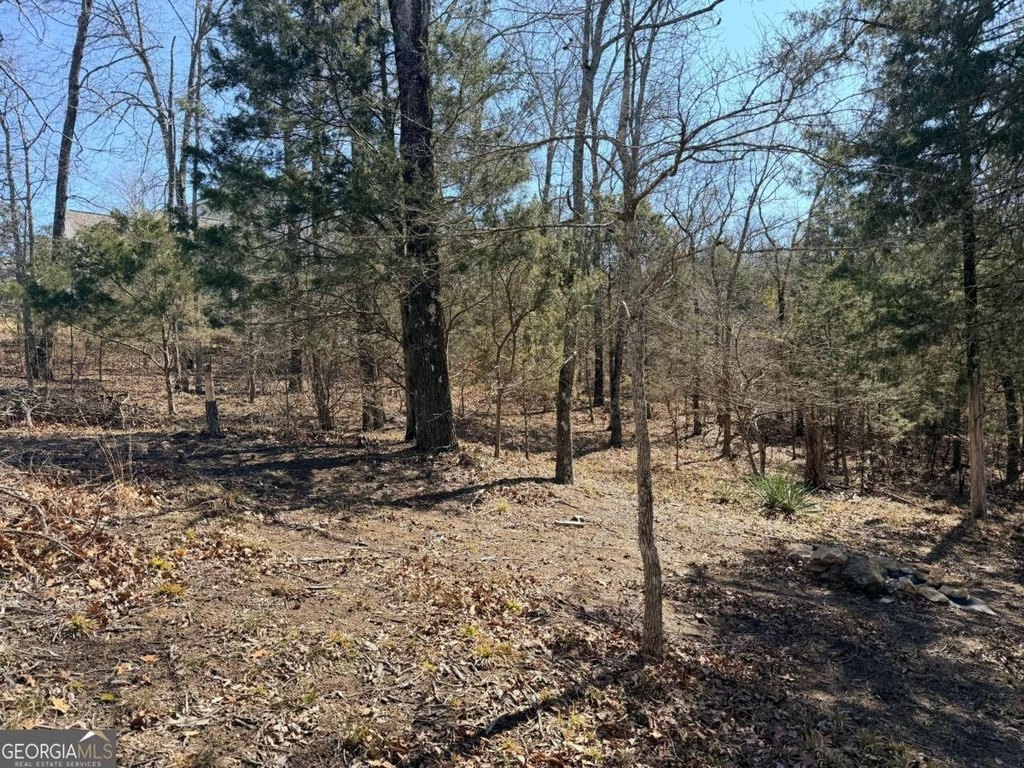 Picture 19