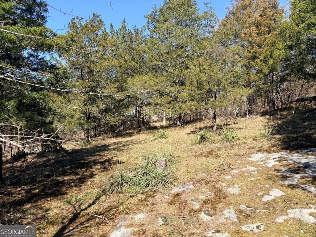 Picture 6