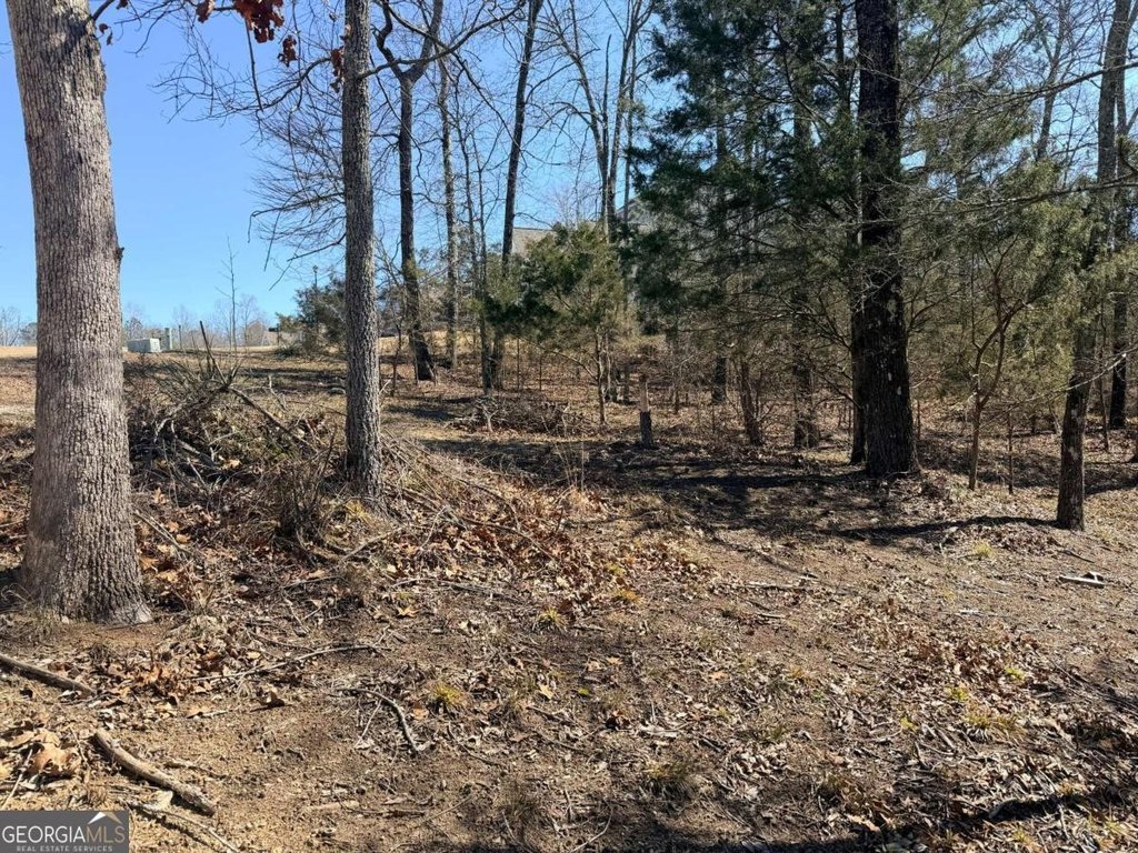 Picture 18