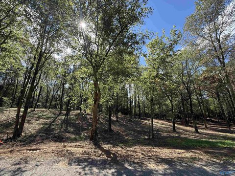 Residential Lot in Vinemont, AL