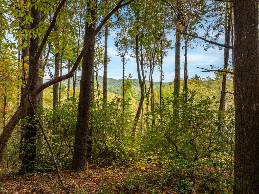 Ellijay Vacant Land Homesite