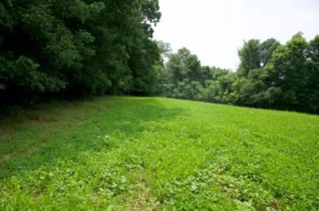 Picture 42