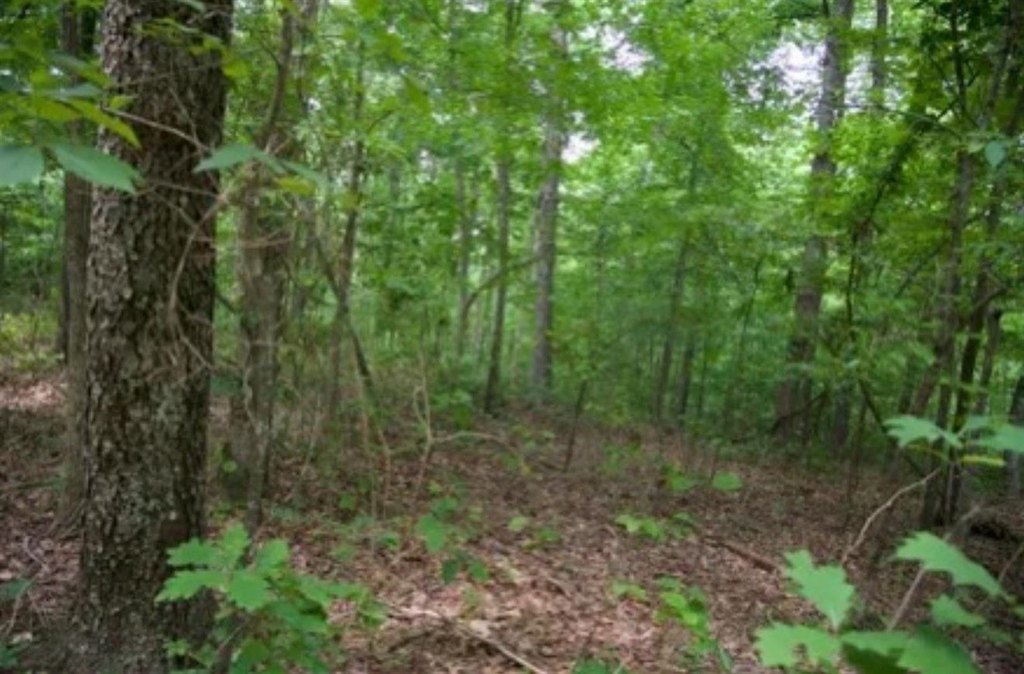Picture 25