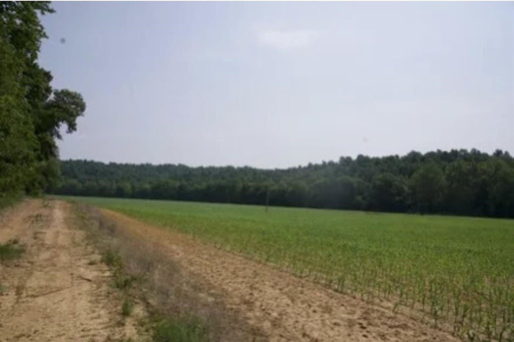 Picture 46