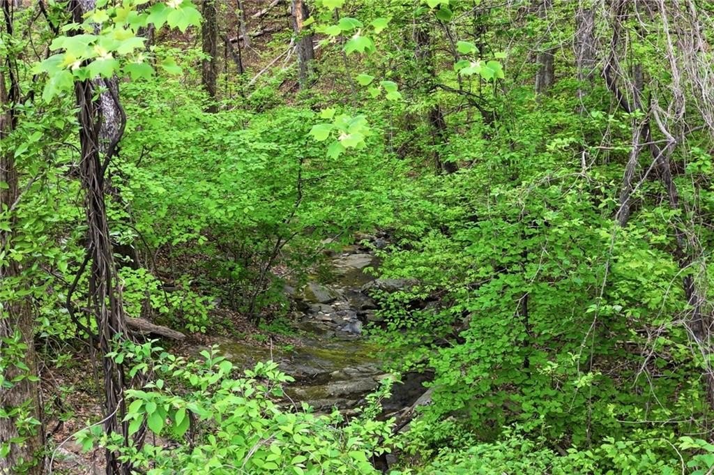 Picture 17
