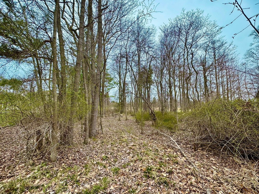 Picture 3