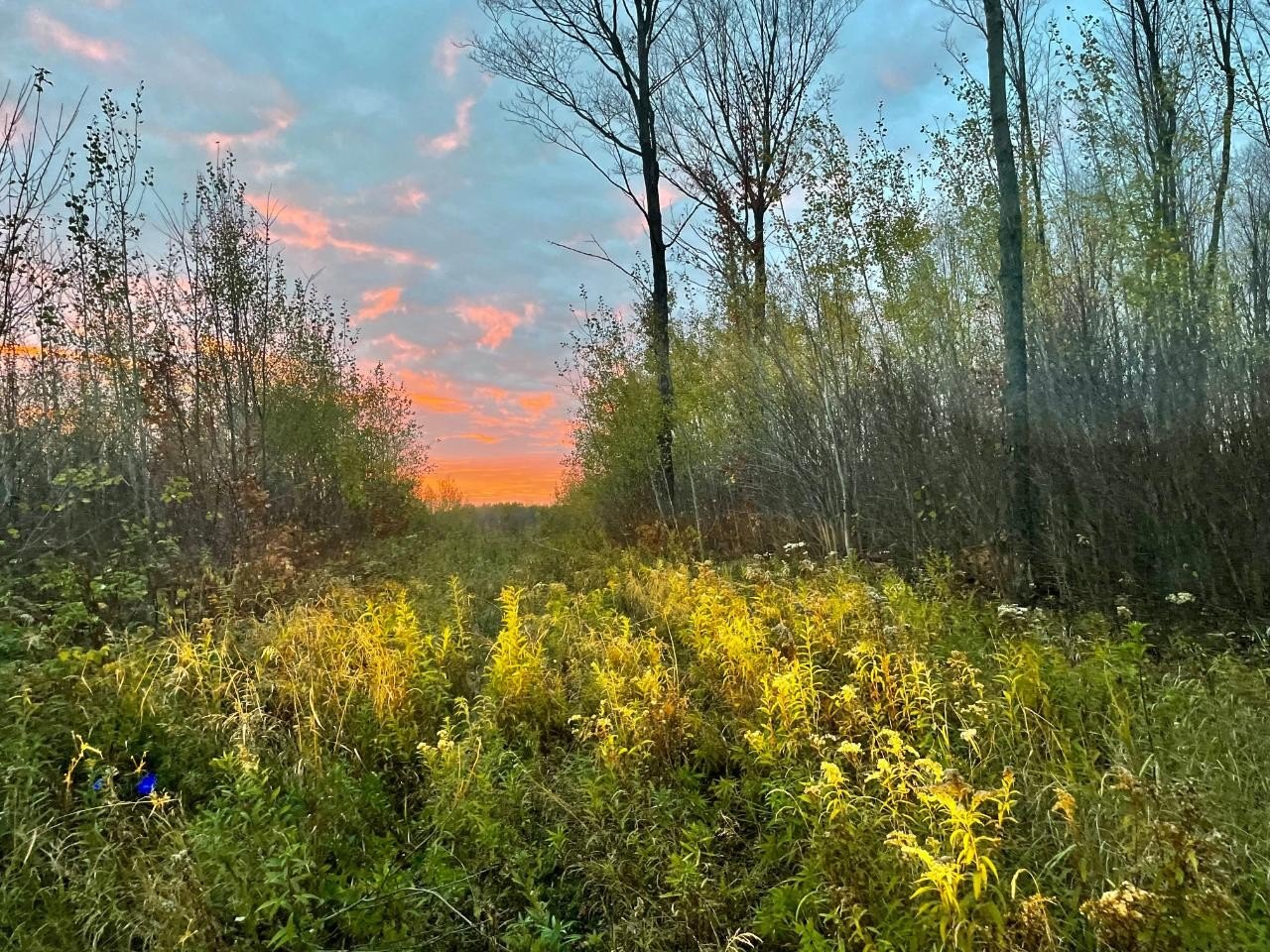 2200 Acres in Price County