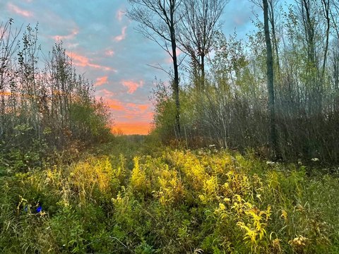 2200 Acres in Price County