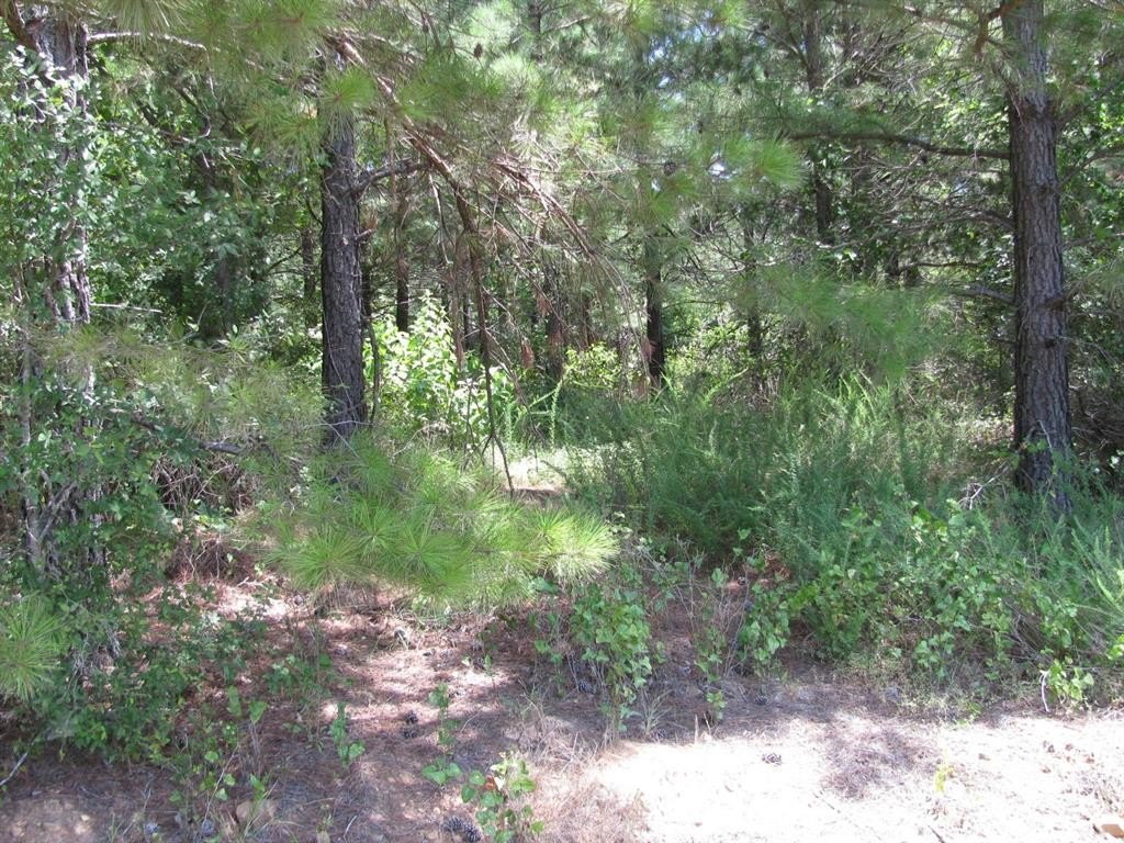 Land with Creek Access