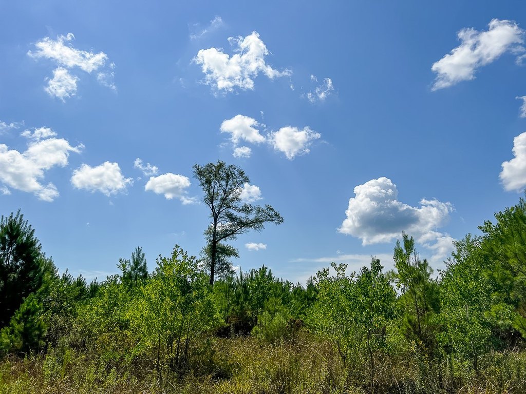 Picture 31