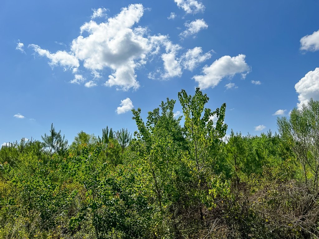Picture 34