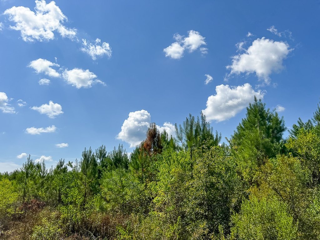 Picture 30