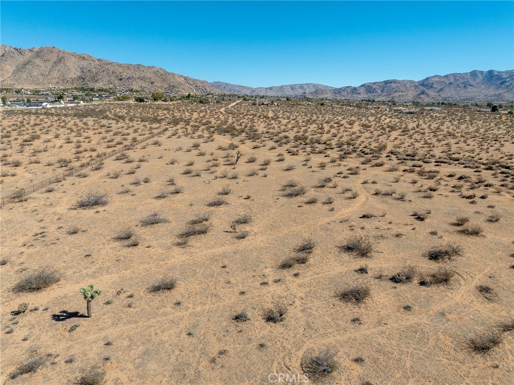 Picture 10