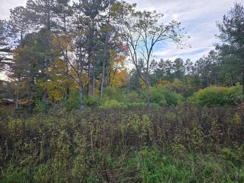 Land, Tomahawk, WI
