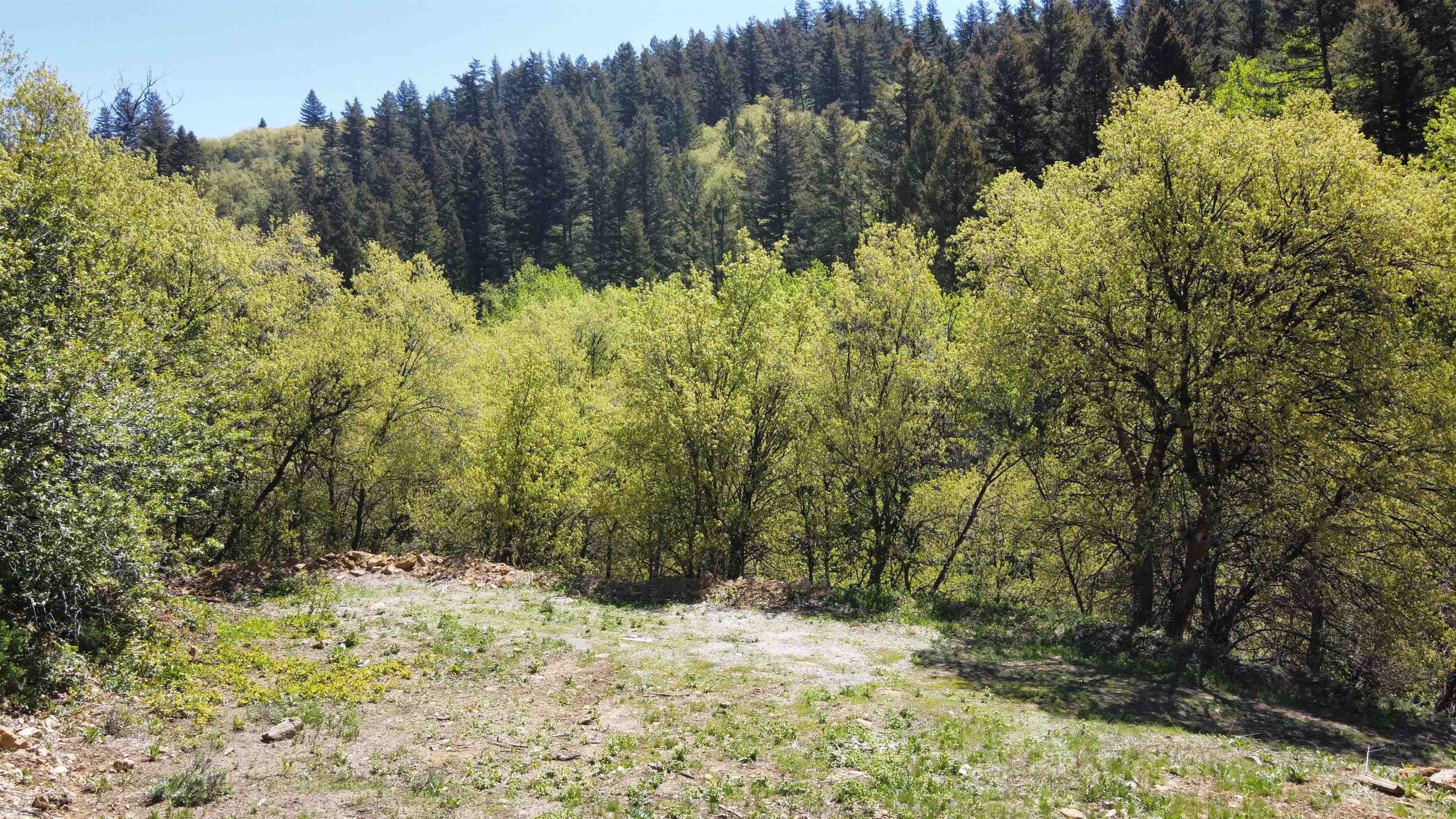 Pocatello Residential Land with Views