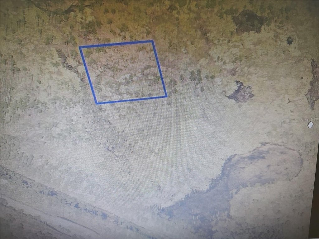 Picture 6