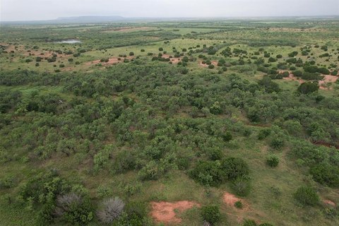 Lawn, TX Unimproved Land