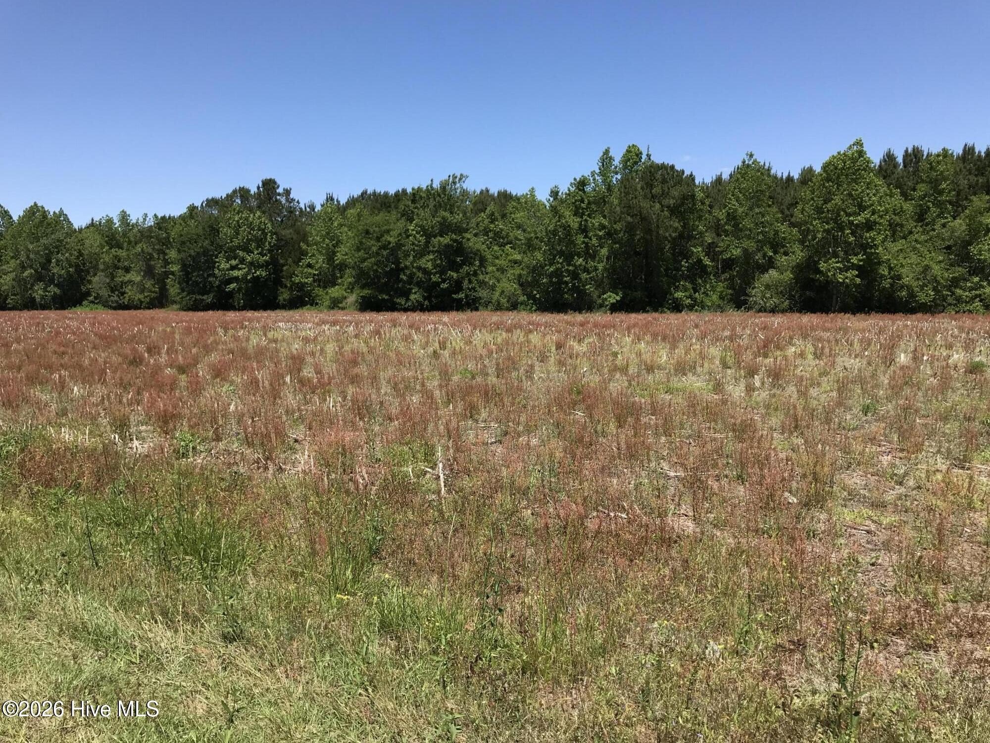 Land Ready For Dream Home