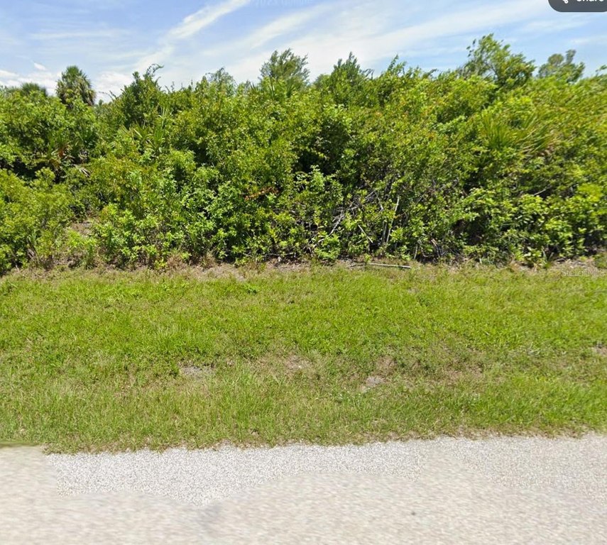 Picture 2