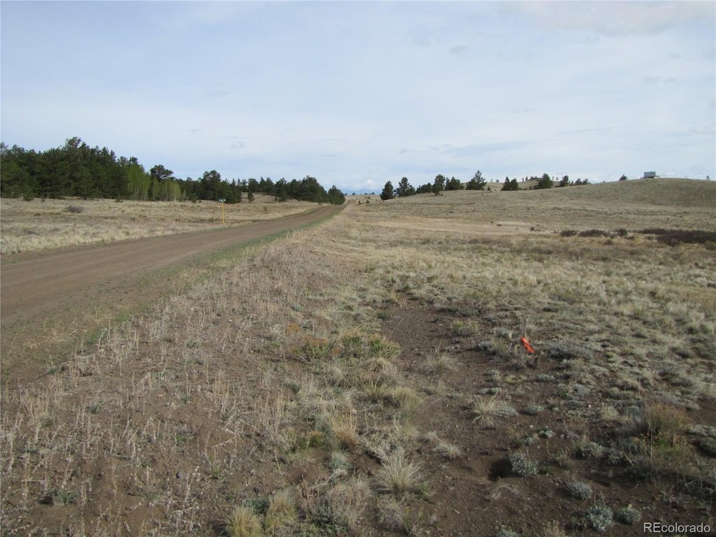 Picture 19