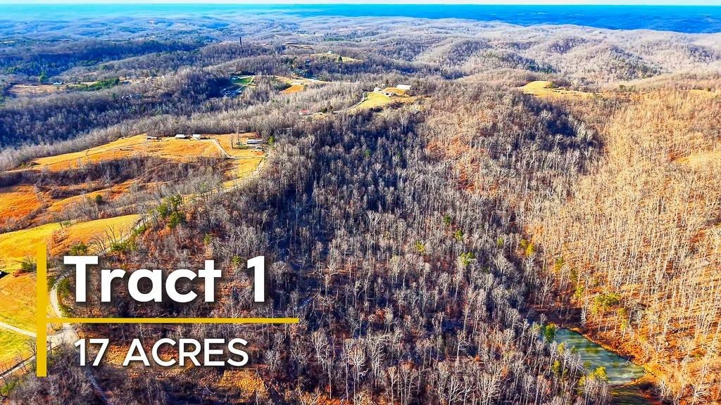 Hunting Land in Appalachian Foothills
