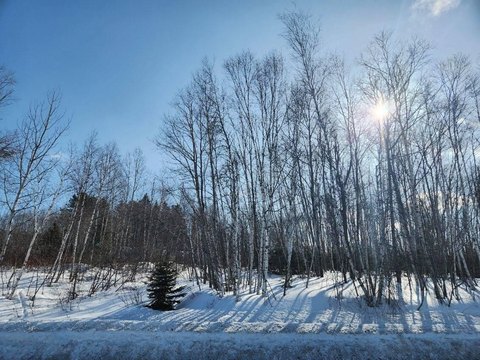 Residential Land in Madawaska, Maine