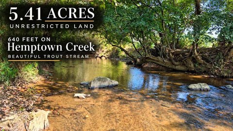 Creek Front Lot, Morganton, GA