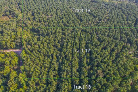 Timber Investment Land Tract