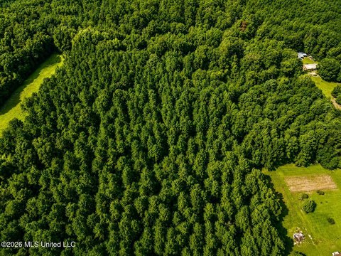 Land, Sandy Hook, MS