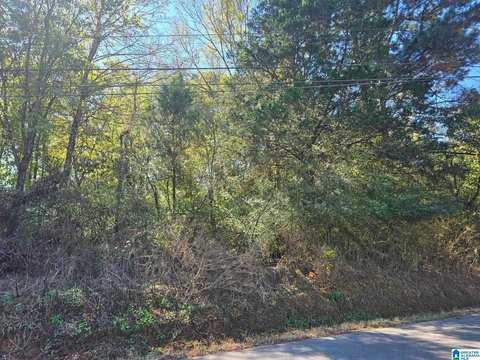 LAND/LOTS, HANCEVILLE, AL