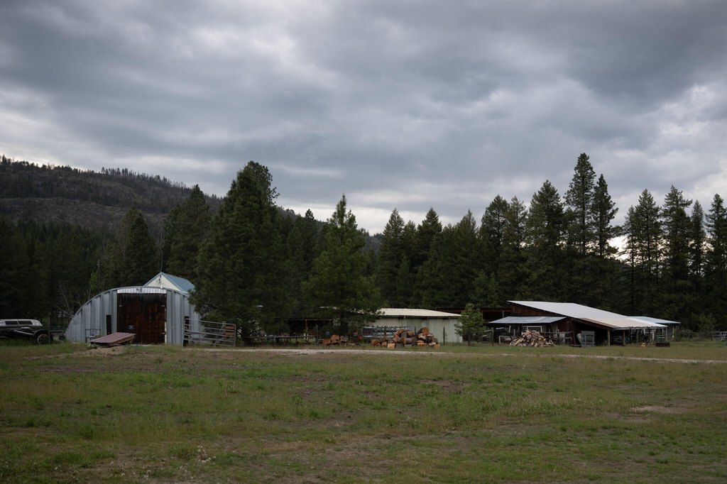 Picture 9