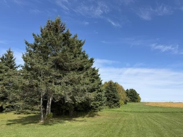 Picture 8