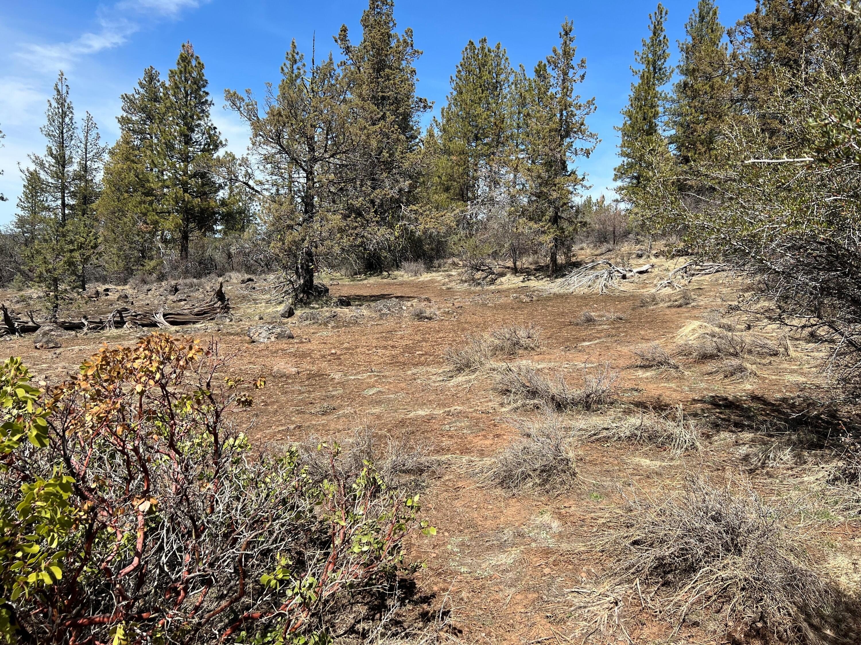 Bonanza, OR Land Parcel