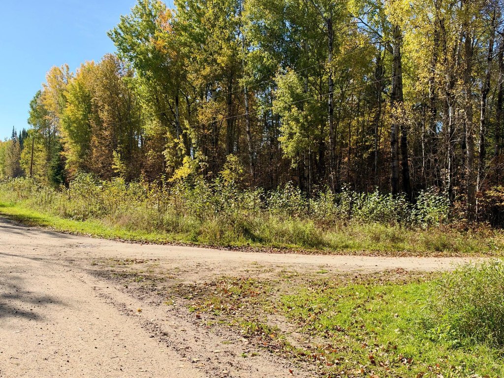 Picture 19