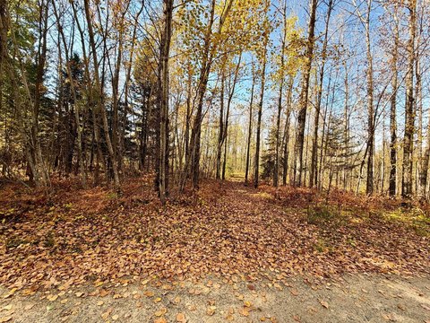 Land, Deer River, MN