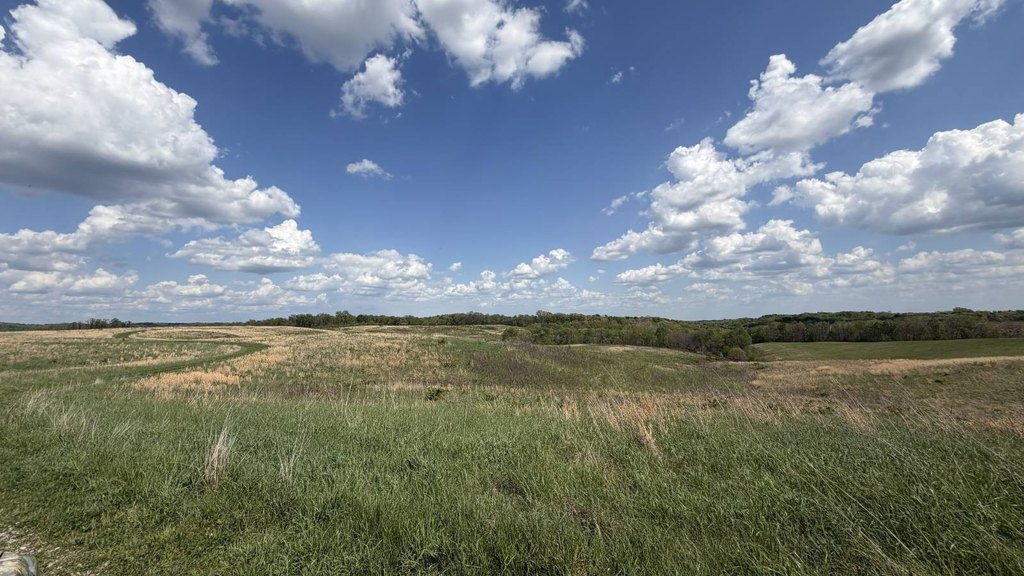 Picture 5