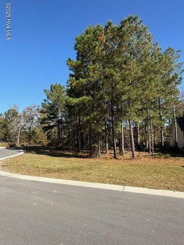 Residential Lot in Master-Planned Community